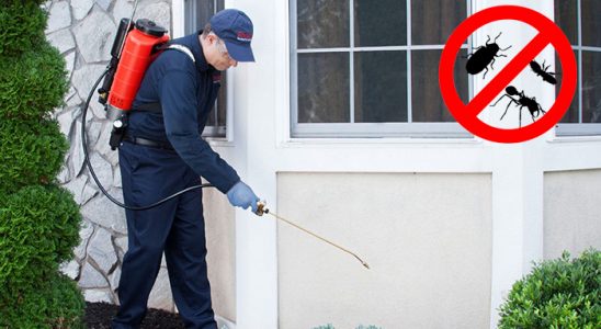 Muratlı Uçan Haşere İlaçlama böcek ilaçlama ve haşere kontrolü — ilaclama-tr.com